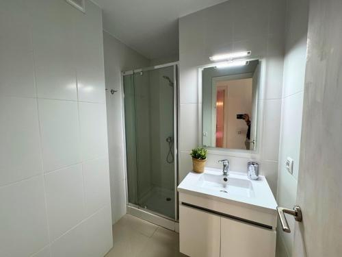 OASIS C3