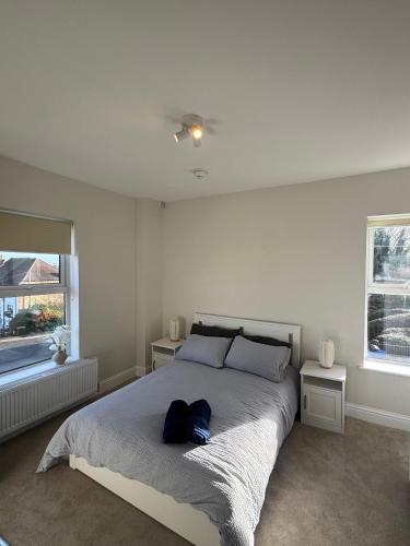 a bedroom with a large bed with two windows at Central Aldershot Flat, Near Station & Town Centre in Aldershot