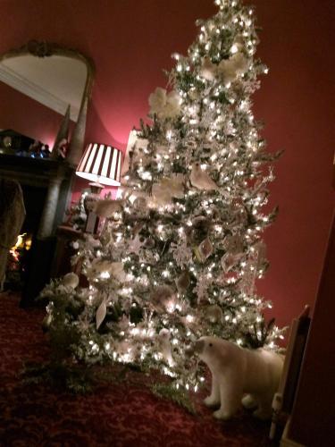 a white cat standing in front of a christmas tree at Castle Grove Country House Hotel in Letterkenny