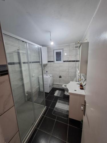 a bathroom with a shower and a sink and a toilet at PODNOZJe KOPAONIKA in Brus