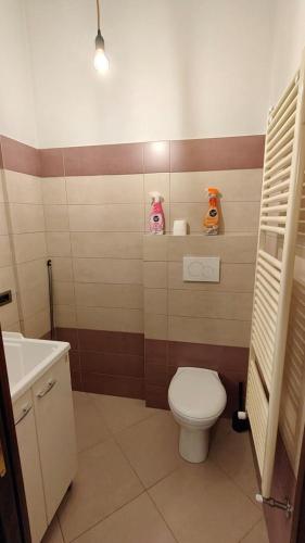 a bathroom with a toilet and a sink at Casa di Cecco in Stazione di Laterina