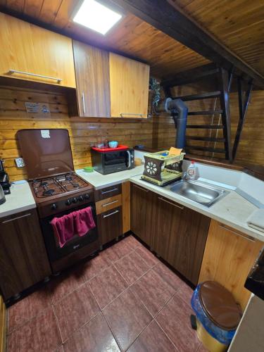 a small kitchen with a stove and a sink at Cabana Soarelui - Valisoara in Vălişoara