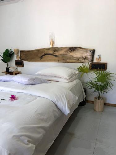 Llit o llits en una habitació de Coral stone