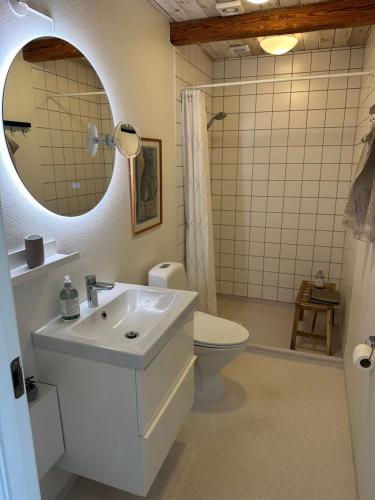 a bathroom with a sink and a toilet and a mirror at Havnehuset Kerteminde in Kerteminde