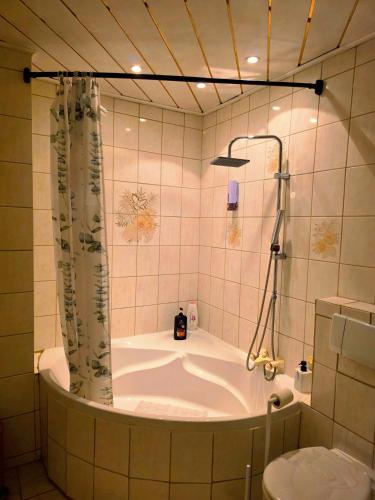 a bath tub with a shower and a toilet in a bathroom at Villa mit Garten 4 Personen in Nuremberg