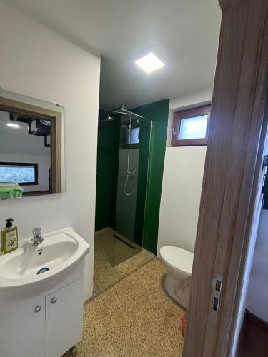 a bathroom with a sink and a toilet and a shower at Cabana Lake View in Bălceşti