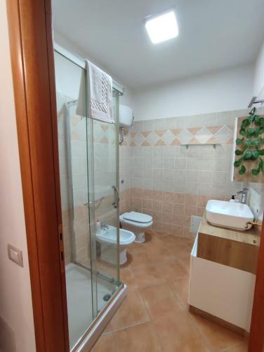 a bathroom with a shower and a toilet and a sink at Da Luca in Càbras