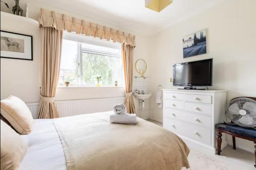Double bedroom in homely, 5 bedroom family house by the river in Fulham photo 19