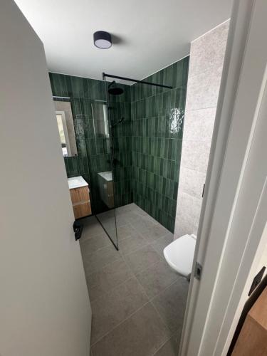 a bathroom with a shower and a toilet at Cabana Aurora in Topliţa