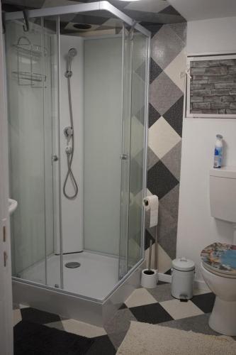 a glass shower in a bathroom with a toilet at Ferienhaus Alex in Großefehn 