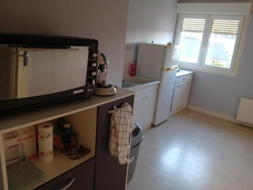 Appartement T3 في Pont-sur-Seine: مطبخ صغير مزود بميكروويف وثلاجة