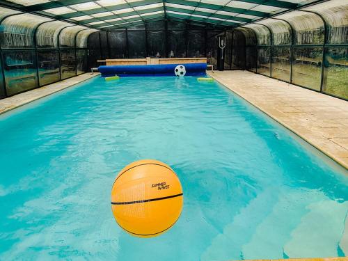 B&B BienViennue في Marcilly-sur-Vienne: مسبح بداخله كرة سلة