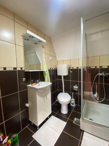 a bathroom with a toilet and a sink and a shower at Vikendica Stojanović in Mionica