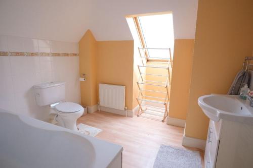 a bathroom with a white toilet and a sink at Ashmount Lodge in Ballynageragh
