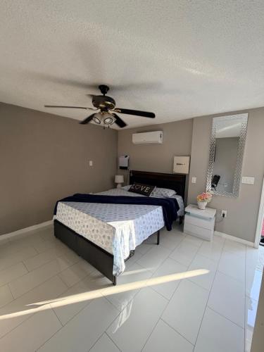 a bedroom with a bed and a ceiling fan at Nice private room with separate entrance in Port Richey