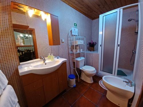 a bathroom with a sink and a toilet and a shower at Casa Santana in Nordeste