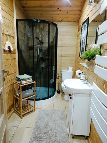 a bathroom with a shower and a sink at Agroturystyka Zagroda Alpaka in Chmielno