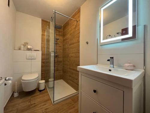 a bathroom with a sink and a shower and a toilet at Sweet Escape in Bad Pyrmont