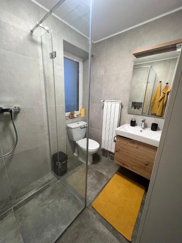 a bathroom with a shower and a toilet and a sink at Ahat apartment- Modern stay near center & free parking in Maribor