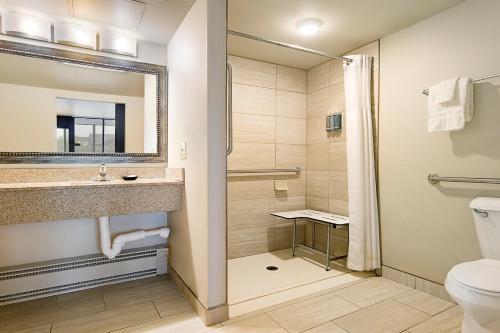 a bathroom with a toilet and a sink and a shower at Aspen Select in Rochester