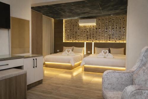 Narmer Pyramids View