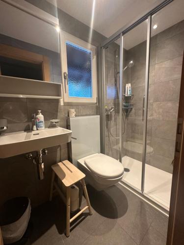 a bathroom with a shower and a toilet and a sink at Chalet Solaria 2 bedrooms with mountain and garden view in Zweisimmen