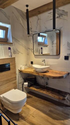 a bathroom with a toilet and a sink and a mirror at Chatki ŁoRawa w Jabłonce in Jabłonka