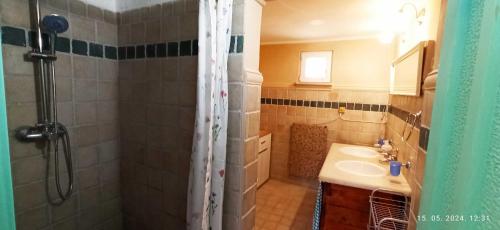 a bathroom with a shower and a sink at Domaći Berek in Hlebine