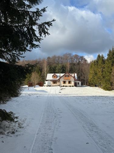 a house in the snow with footprints in the driveway at Leśna Przystań in Sidzina
