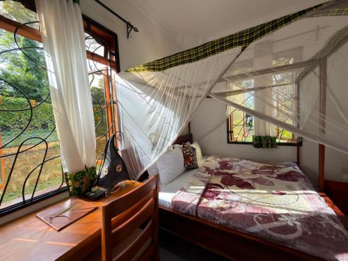 a bedroom with a bed and a desk and windows at Sophie Homestay in Moshi
