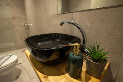 a bathroom sink with a faucet and a plant at Villa Papazoglou in Neos Pirgos