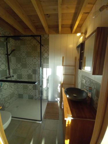 a bathroom with a sink and a glass shower at Chalet charme et bien-être Jacuzzi et nature près de Durbuy in Durbuy