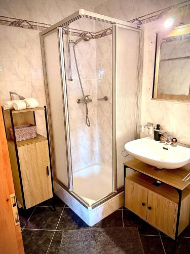 a bathroom with a shower and a sink at Appartement au pied des télécabines in La Tzoumaz