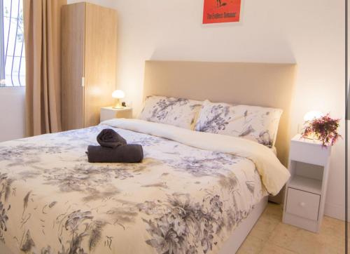 Habitación en Alicante 10 Bernardo