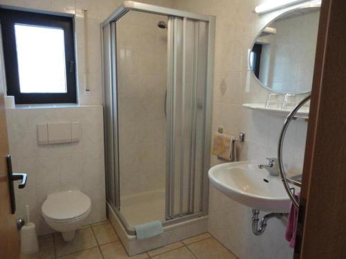 a bathroom with a shower and a toilet and a sink at Zur Kringelwies in Masburg