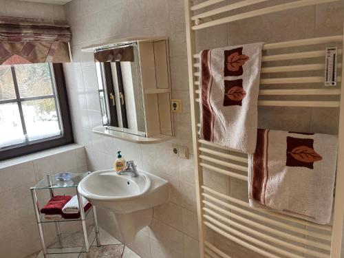 a white bathroom with a sink and a mirror at Ferienhaus Miriquidi Perle in Marienberg
