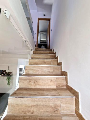 Tropical Sun and Palm