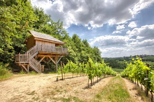 une cabane dans les arbres au milieu d'un vignoble dans l'établissement Les Cabanes des Benauges, à Arbis