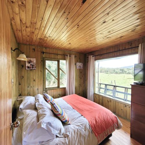 ein Schlafzimmer mit einem Bett in einem Zimmer mit Fenster in der Unterkunft Chiloe Profundo in Chonchi