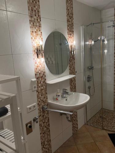 a bathroom with a sink and a shower with a mirror at Work & Sleep Am Waldesrand in Vollersode