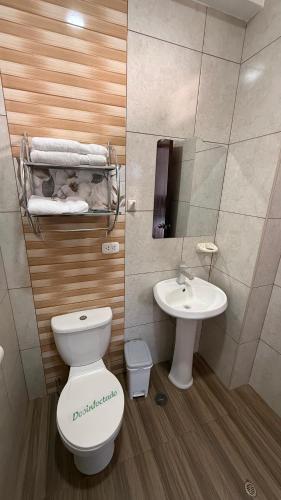 a bathroom with a toilet and a sink at Chachapoyas Backpackers Hostal Boutique in Chachapoyas