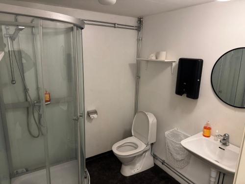 a bathroom with a shower and a toilet and a sink at Frövi vandrarhem in Frövi