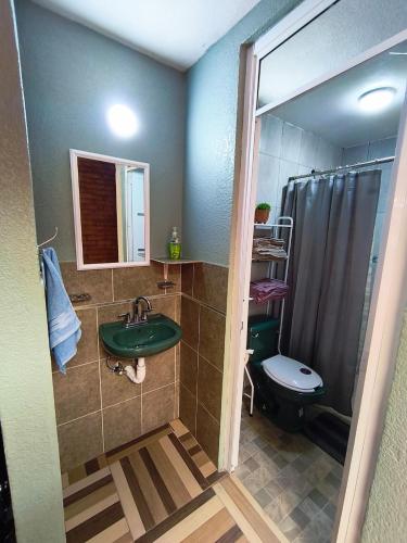a bathroom with a green sink and a toilet at Alojamiento en Tlaxco in Tlaxco de Morelos