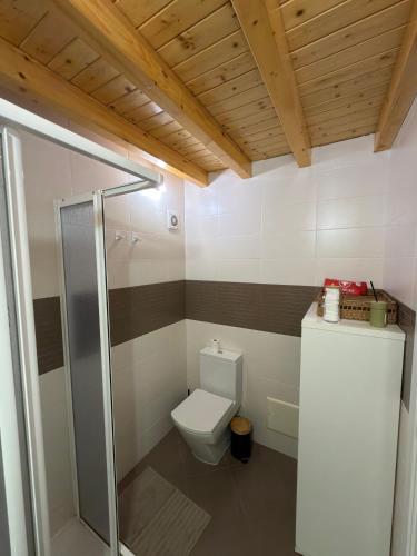 a bathroom with a toilet and a shower at A Casa de Feli in Muros