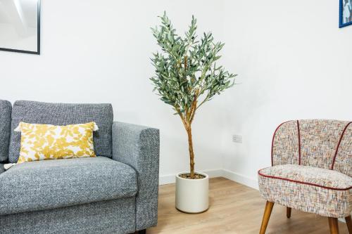 a living room with a chair and a tree at West London Spacious Modern House Garden Driveway in London
