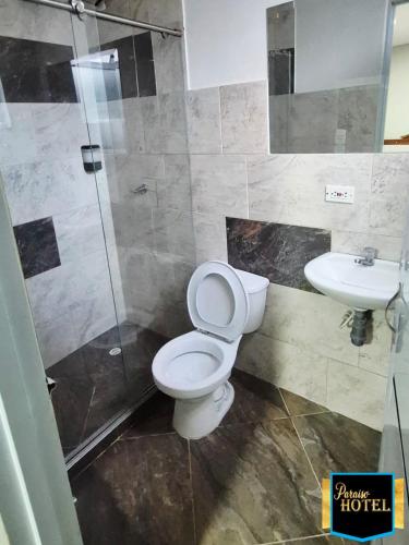 a bathroom with a toilet and a sink at Paraíso Hotel Ubaté in Ubaté