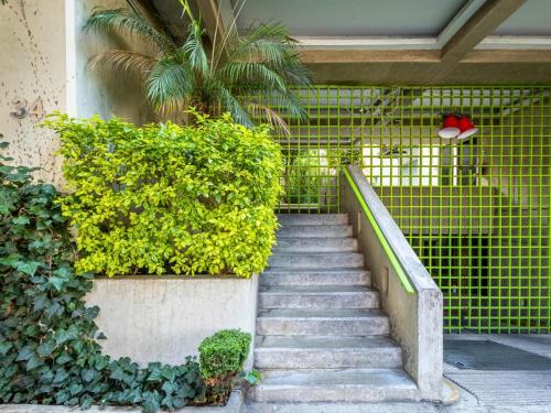 Jardí fora de Adam's home with high-speed Internet near Polanco