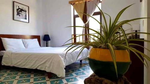 a bedroom with a bed and a potted plant at LaMera Homestay in Ben Tre