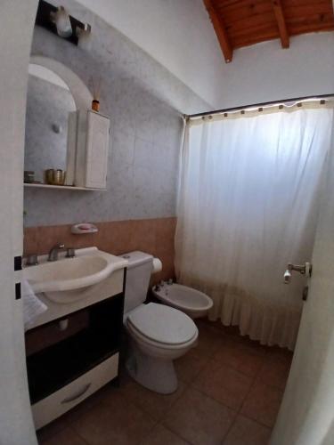 a bathroom with a toilet and a sink and a shower at Chiche del mar in Playa Unión