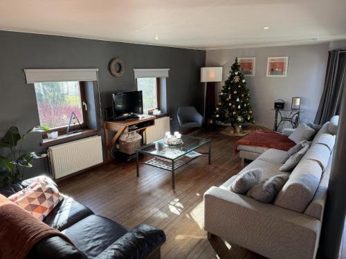 a living room with a christmas tree and a couch at Cottage in the heart of the Ardennes in Waimes